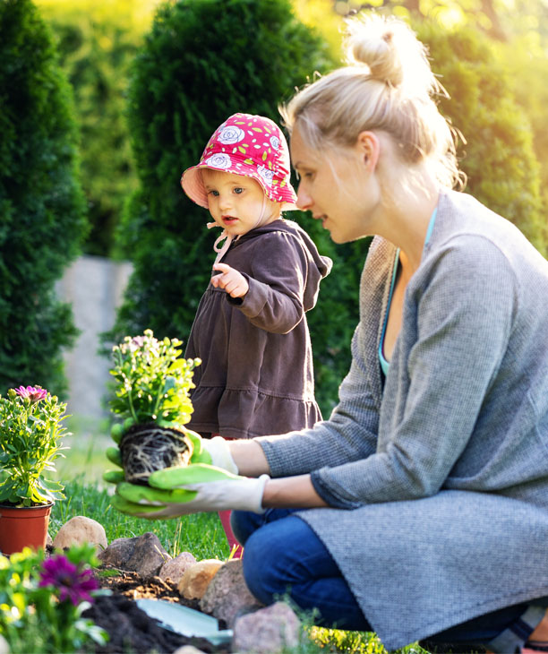 Creez et concevez votre plan de jardin