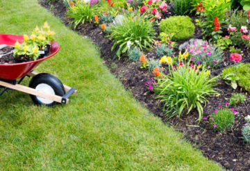 aménagement et l'entretien de votre jardin