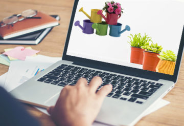 plantes et accessoires de jardin