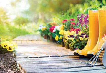 entretien jardin