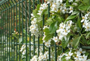 Grillage de jardin