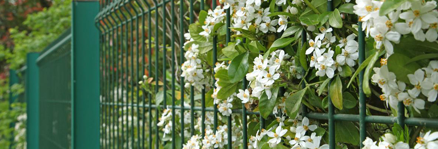 Grillage de jardin