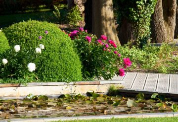 aménagement jardin
